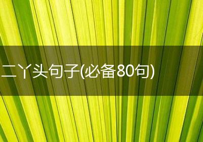 二丫头句子(必备80句)