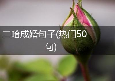 二哈成婚句子(热门50句)