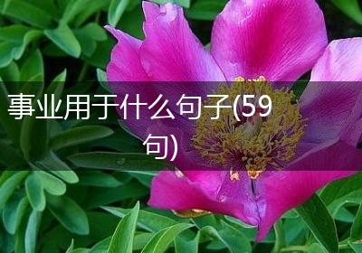 事业用于什么句子(59句)