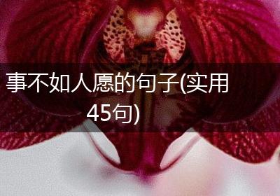 事不如人愿的句子(实用45句)