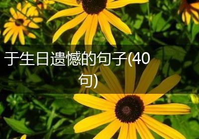 于生日遗憾的句子(40句)