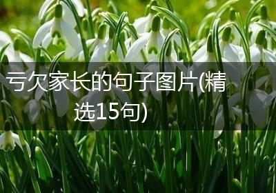 亏欠家长的句子图片(精选15句)