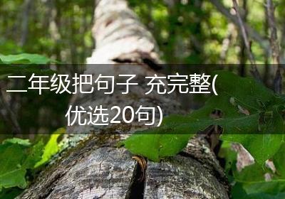 二年级把句子 充完整(优选20句)