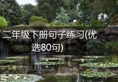 二年级下册句子练习(优选80句)