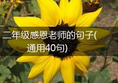 二年级感恩老师的句子(通用40句)