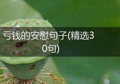 亏钱的安慰句子(精选30句)