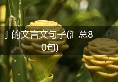 于的文言文句子(汇总80句)