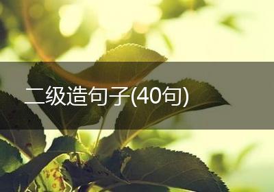 二级造句子(40句)
