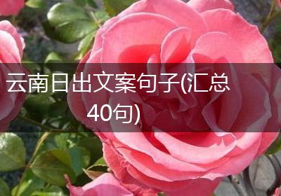 云南日出文案句子(汇总40句)