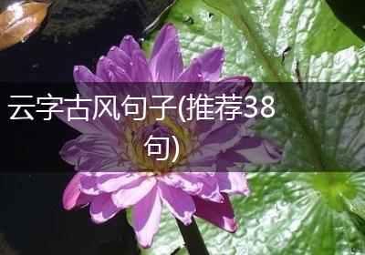 云字古风句子(推荐38句)