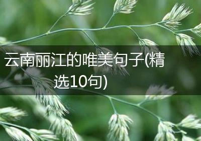 云南丽江的唯美句子(精选10句)