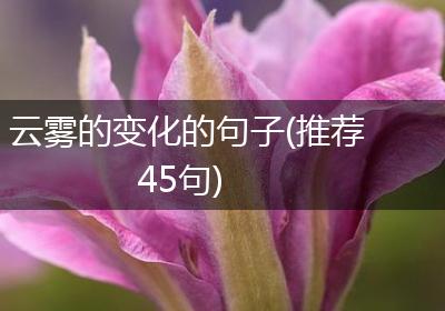 云雾的变化的句子(推荐45句)