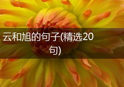 云和旭的句子(精选20句)
