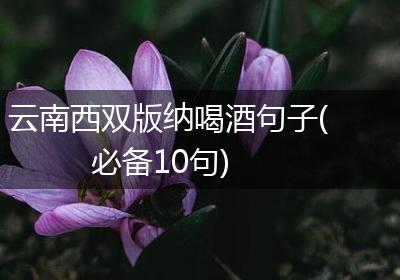 云南西双版纳喝酒句子(必备10句)
