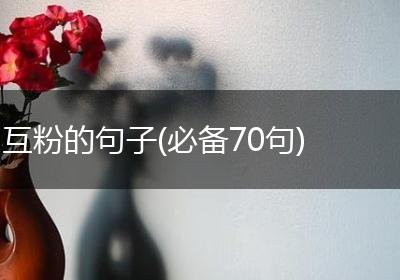 互粉的句子(必备70句)