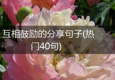 互相鼓励的分享句子(热门40句)