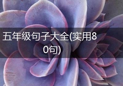五年级句子大全(实用80句)
