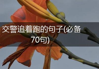 交警追着跑的句子(必备70句)