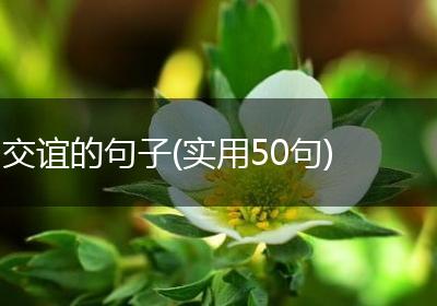 交谊的句子(实用50句)