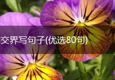 交界写句子(优选80句)