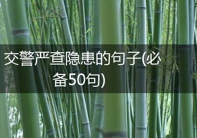 交警严查隐患的句子(必备50句)