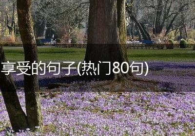 享受的句子(热门80句)
