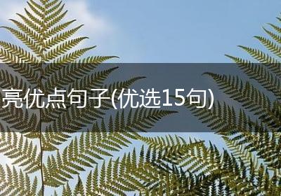 亮优点句子(优选15句)