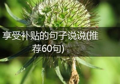 享受补贴的句子说说(推荐60句)
