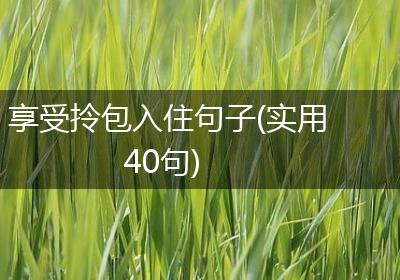 享受拎包入住句子(实用40句)