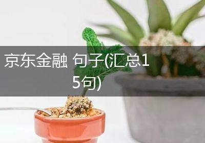 京东金融 句子(汇总15句)