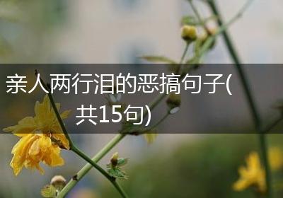 亲人两行泪的恶搞句子(共15句)