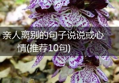 亲人离别的句子说说或心情(推荐10句)