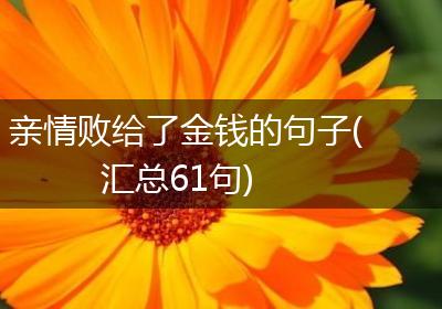 亲情败给了金钱的句子(汇总61句)