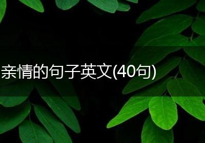亲情的句子英文(40句)