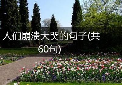 人们崩溃大哭的句子(共60句)