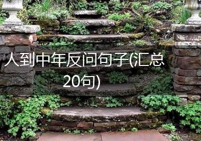 人到中年反问句子(汇总20句)
