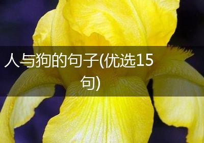 人与狗的句子(优选15句)