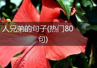 人兄弟的句子(热门80句)