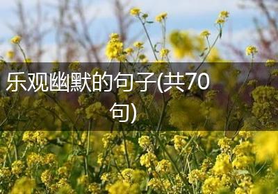 乐观幽默的句子(共70句)