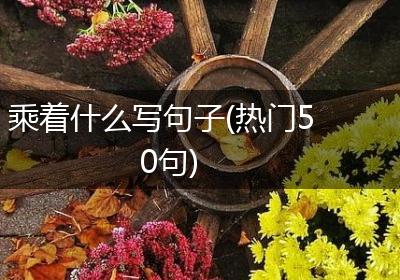 乘着什么写句子(热门50句)