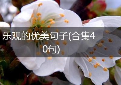 乐观的优美句子(合集40句)