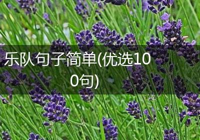 乐队句子简单(优选100句)