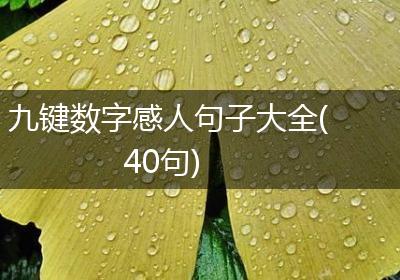 九键数字感人句子大全(40句)