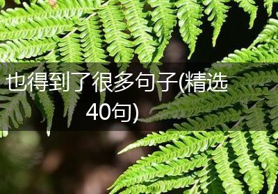 也得到了很多句子(精选40句)