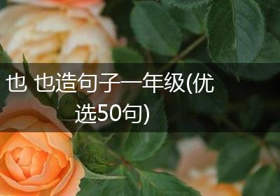 也 也造句子一年级(优选50句)