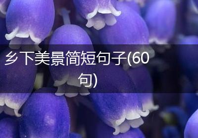乡下美景简短句子(60句)