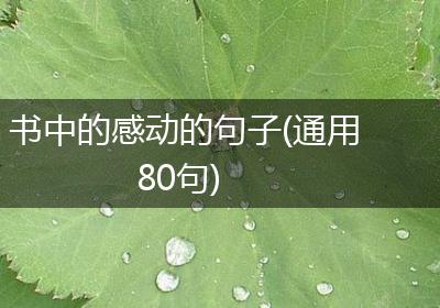 书中的感动的句子(通用80句)