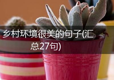乡村环境很美的句子(汇总27句)