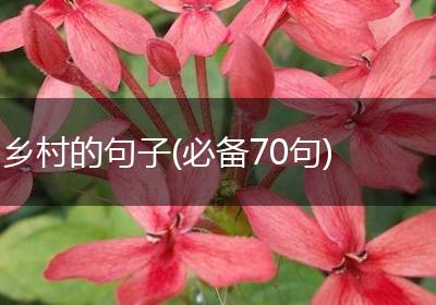 乡村的句子(必备70句)