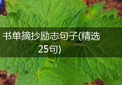 书单摘抄励志句子(精选25句)